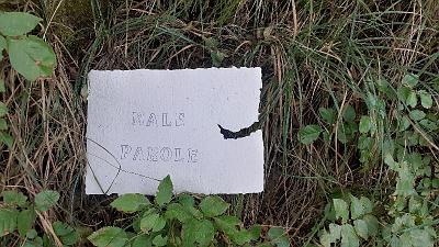 PAROLA PER PAROLA (10)